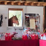 Warrior Ranch Foundation 2025